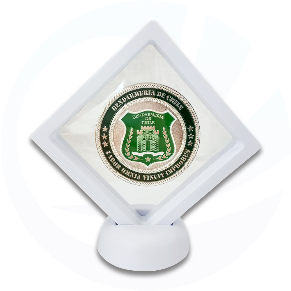 Moneda de reto de plata militar de encargo para el soporte de exhibición de plástico coleccionable